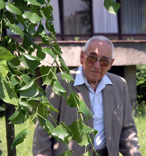 Drzewko Harasymowicza fot EH 038.jpg